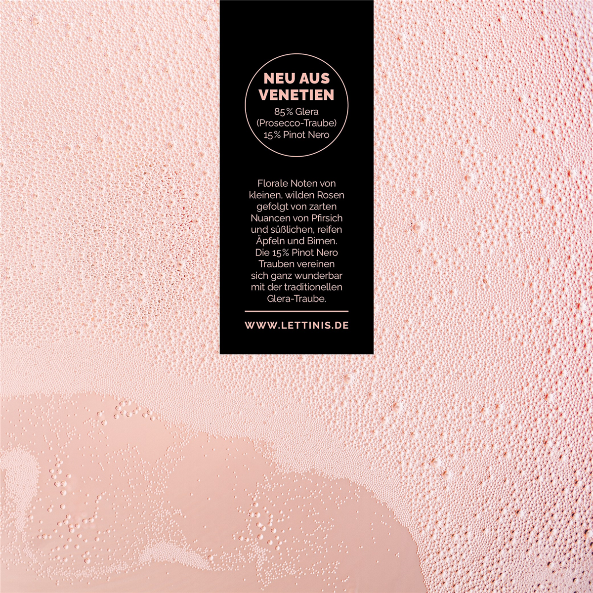 Lettinis - Prosecco Rosé Millesimato - Treviso DOC